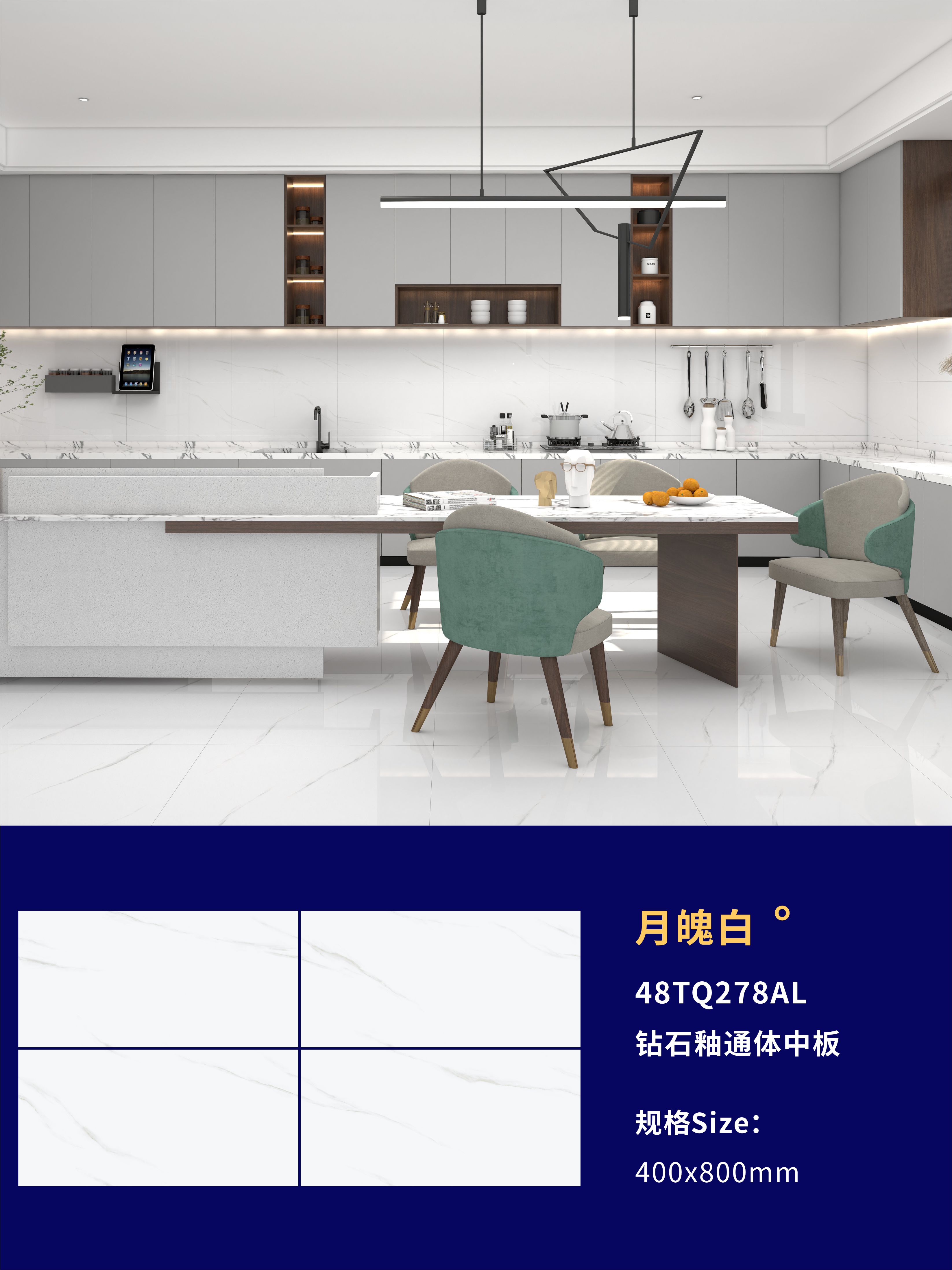 48TQ278AL 月魄白